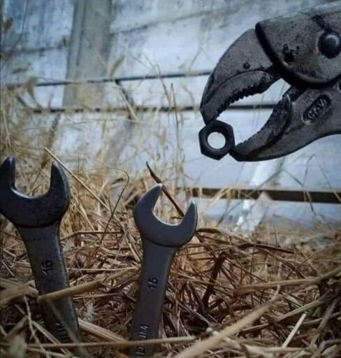 This is a rare photo of a mother vise-grip feeding her baby wrenches. Nature really is amazing.